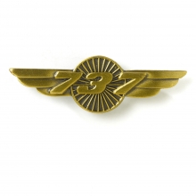 B737 Wings Pin