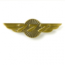 B777 Wings Pin