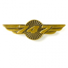 B747 Wings Pin